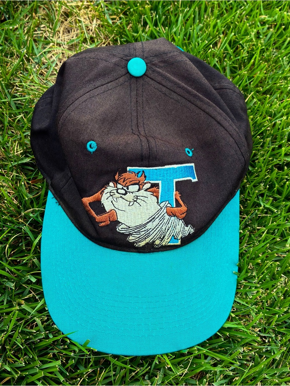 1993 Vintage Tasmanian Devil Hat